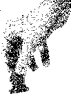Hand